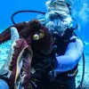 juliechesser381 - @juliechesser381 - TikTok