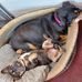Julie Child - Facebook