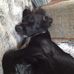 Julie Child - Facebook