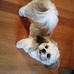 Julie Child - Facebook