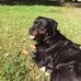 Julie Child - Facebook