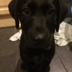Julie Childs - @julie.childs.925 - Instagram