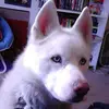 Julie Clair913 - @julieclair0 - TikTok