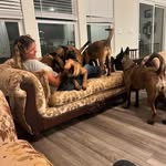 Julie Collier- Sandoval - @julieclaire84 - Instagram