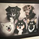 Julie Clapper - @clapper5 - Instagram