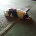 Julie Cloninger - Facebook