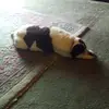 juliecloninger753 - @juliecloninger753 - TikTok