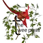 Julie Close - @theweepixel - Instagram