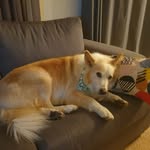 Julie Coles - @juliecoles638 - Instagram