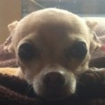 Julie Conte - @julie5586 - Instagram