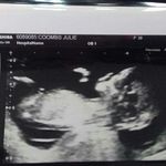 Julie Coombs - @coombsjulie - Instagram