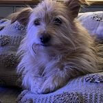 Julie Copp - @julau.summs - Instagram