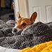 Julie Copp - Facebook