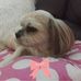 Julie Corman - Facebook