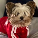 Julie Corry - @jcorry1047 - Instagram