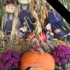 Julie Corry - @julie.corry8 - TikTok