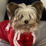 Julie Corry - @corry4794 - Instagram