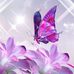 Julie G. Day - Facebook