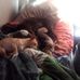 Julie Dejong - Facebook