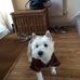 Julie Denham - Facebook