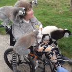 Julie Derry - Facebook