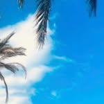 Julie Devlin - @juliedevlin12 - Instagram
