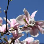 Julie Devlin - @juliedevlinacupuncture - Instagram