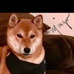 Julie Devore - @jwoodev - Instagram