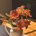 Julie DeVore Glauninger - @jtdg - Instagram