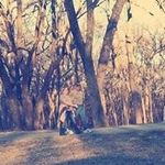 Julie DeVries - @devries_julie - Instagram