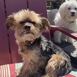 Julie Anne Wells - @juliedewitt8891 - Instagram