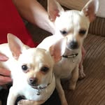 Julie Dorrans - @juliedorrans - Instagram