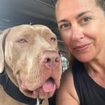 Julie Dorries - @juliedorries - Instagram