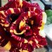 Julie Dorrstein - Facebook