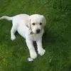 juliedownes73 - @juliedownes73 - TikTok