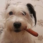 Julie Griffin Dring - @juliegriffindring - Instagram