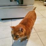 Julie P. Durrant - @juliep.durrant - Instagram