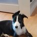 Julie Eason - Facebook