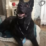 Julie Eastham - Facebook