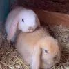 user9578140463018 - @julieeastham27 - TikTok