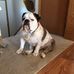 Julia Eckenrode - Facebook