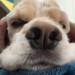 Julie - @julie._.ellen - Instagram