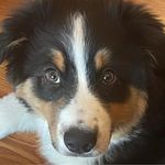 Julie Van Epps - @vaneppsjulie - Instagram