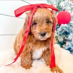 Julie Eversole Earp - @jearp0423 - Instagram