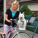 Julie Faller - @juliefaller5904 - Instagram