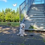 Julie Fast - Facebook