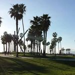 Julie Fellows - @fellows_julie - Instagram