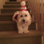 Julie Zobrist-Finger - @jrfhershey - Instagram