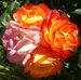 Julie Finlay - Facebook