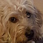 Julie Flaherty - @julie.flaherty.90 - Instagram